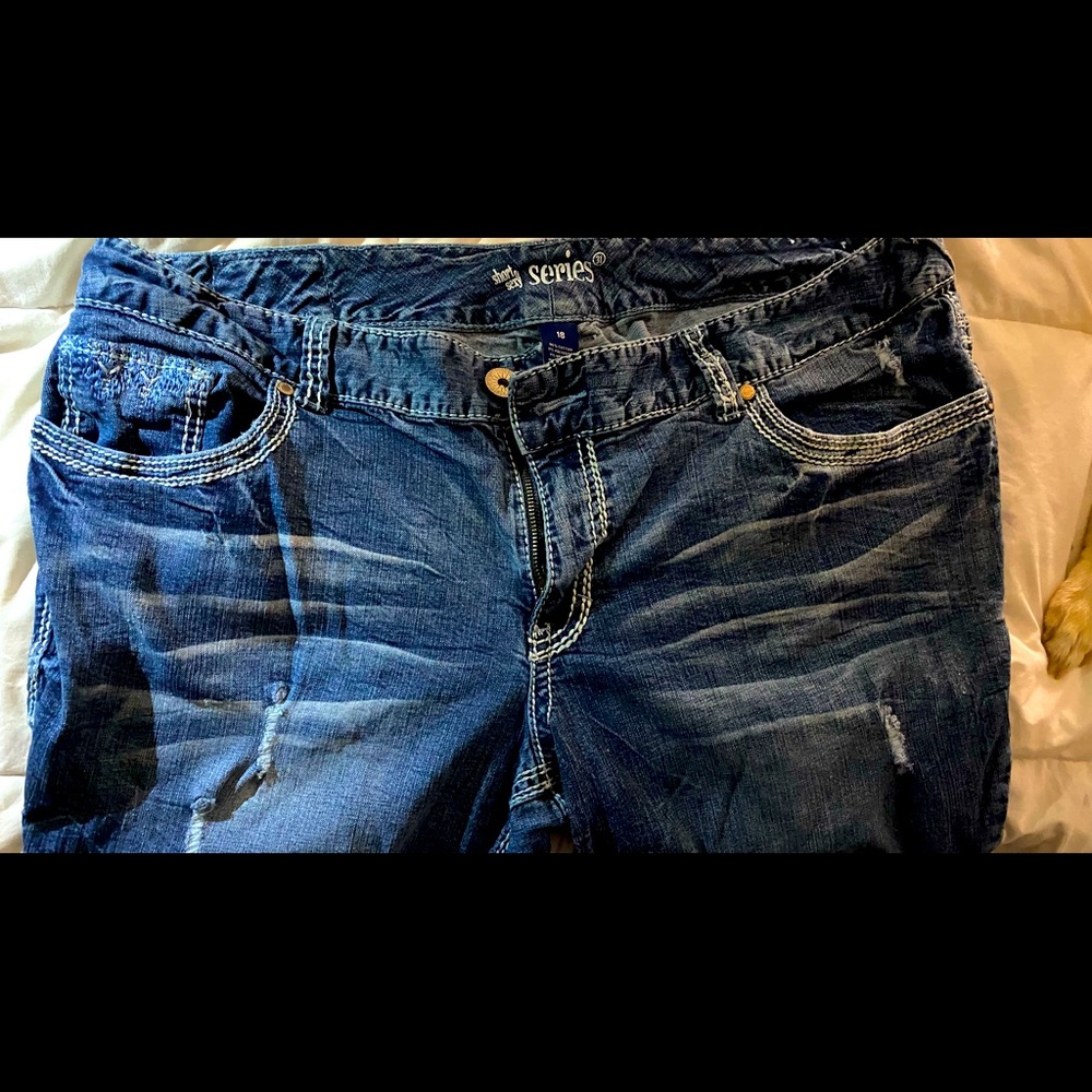 Series 31, plus size 18